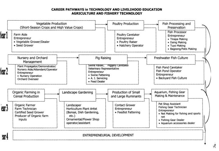 Career Pathways For High School Students - TeacherPH