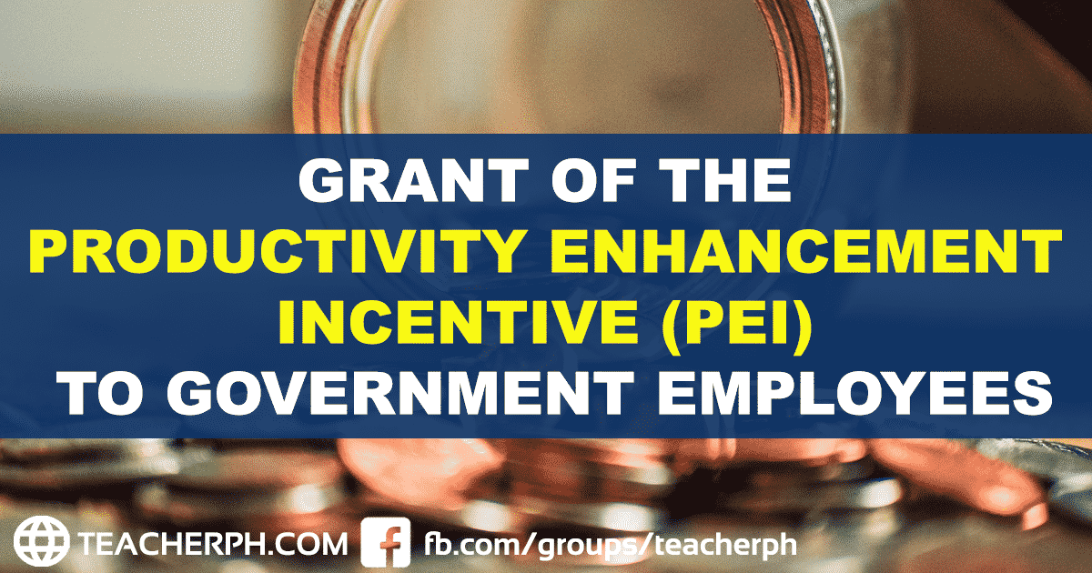 grant-of-the-productivity-enhancement-incentive-pei-to-government